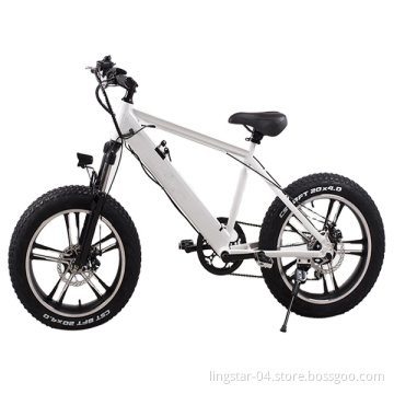 Pianto in lega di alluminio in alluminio in alluminio in bici elettrica 48v 350W LED LED ANTRADA IN MANUNIMENTO ASSOGLIO DI Disco INFROUTTRO IN MAGGIORNI